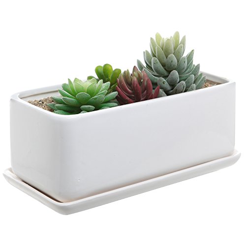 10 inch Rectangular Modern Minimalist White Ceramic Succulent Planter Pot / Window Box with Saucer Feature Image