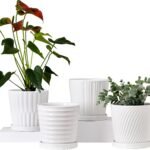 Ton Sin Plant Pots,White 6 Inch Flower Pots for Plants,Ceramic Planter with Drainage thumbnail