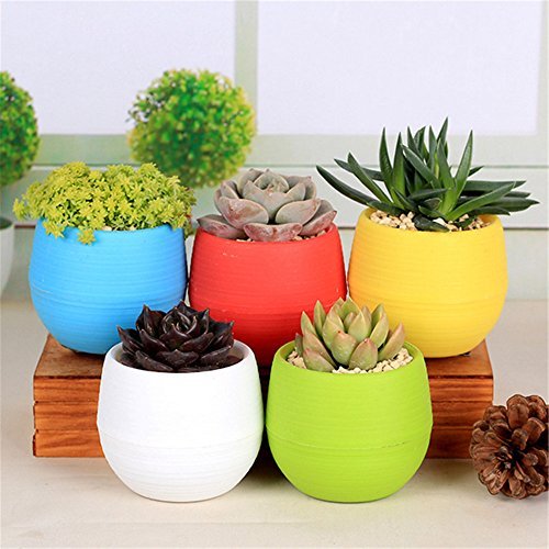 Face Planter Pot Funny Skateboard Flower Pot Smiley Cute Planters for Indoor Outdoor - Image 2
