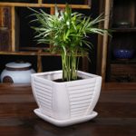 White Ceramic Flower Pot / Plant Pot, Square, with Attached Saucer, with Drainage Holes thumbnail