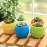 Wish you have a nice day 4.5″ Round Plastic Plant Flower Pots Home Office Decor Planter 5 Colors (5, 4inch) thumbnail