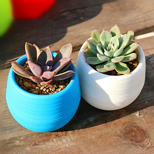 Wish you have a nice day 4.5″ Round Plastic Plant Flower Pots Home Office Decor Planter 5 Colors (5, 4inch) Image