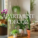 Eco-Friendly Apartment Decor: Sustainable Style for Your Urban Oasis thumbnail