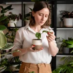 Indoor Plants That Purify the Air and Elevate Your Home’s Look thumbnail