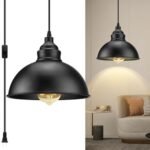Industrial Pendant Light – Plug-in Hanging Light with 15FT Cord thumbnail